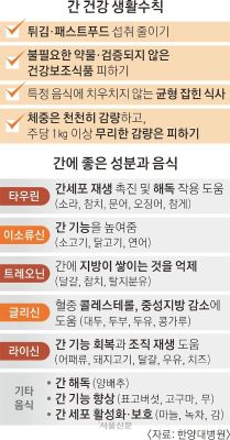 술 안 마신다고 비만·당뇨 방치?…간이, 부었군요